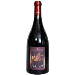 FALSTAFF Rosso Fermo IGT Vino Rosso colli di Parma, Vino Fermo, Vino Rosso