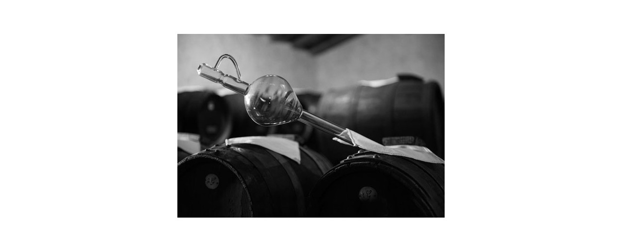 History of Modena Balsamic Vinegar